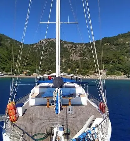 Seaborn Legend Fethiye